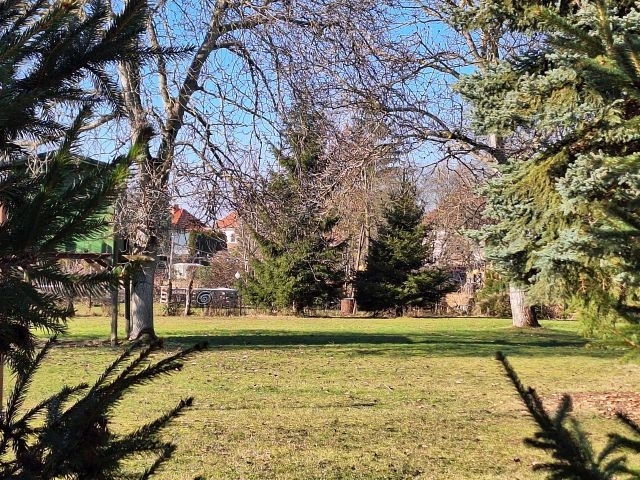Real Estate Title Image Background